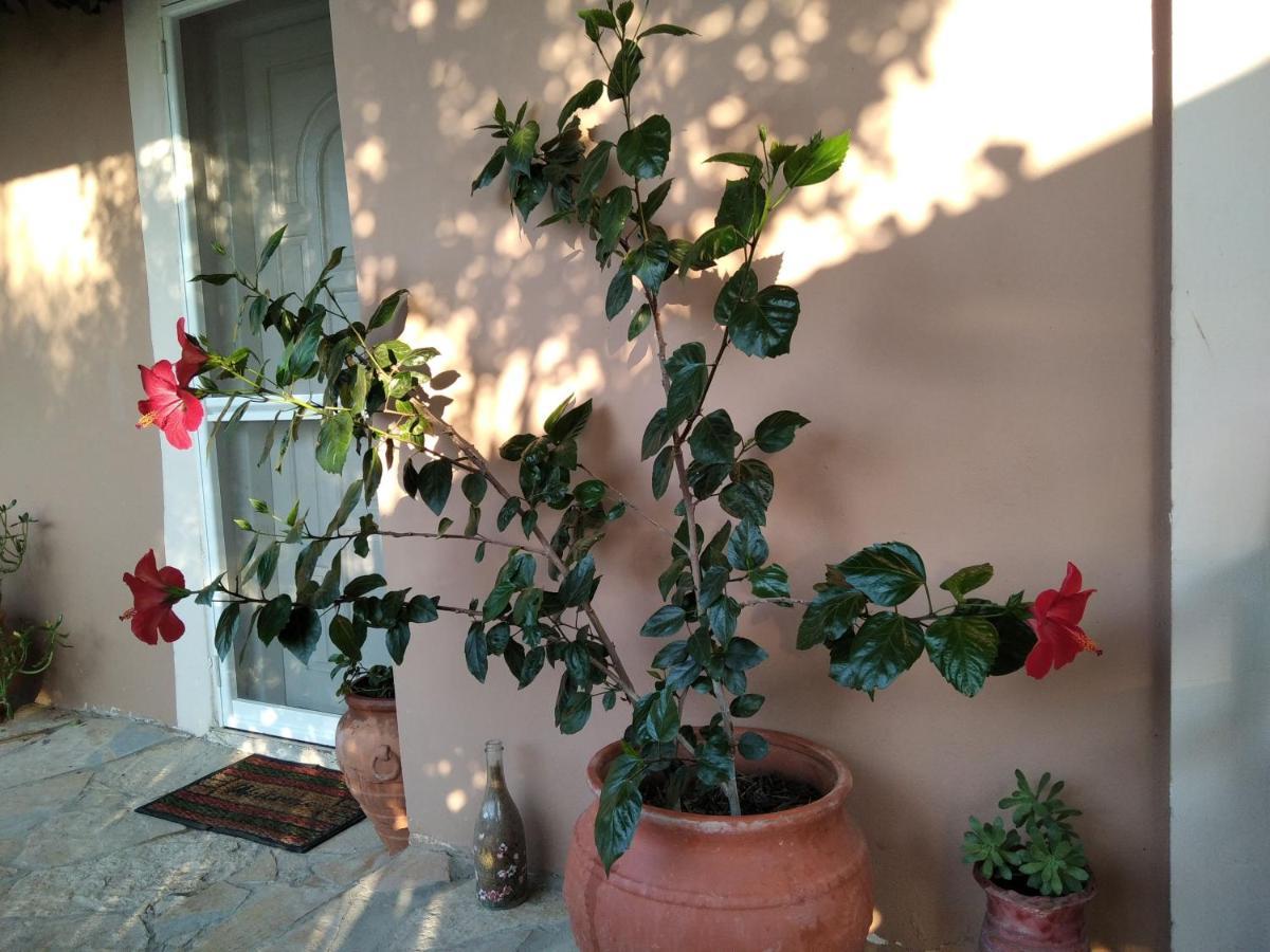 Spiti Lou Appartement Notos Buitenkant foto